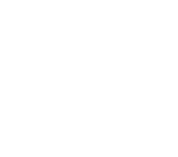 Barrio Pizza