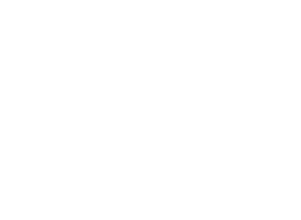 MEGESA